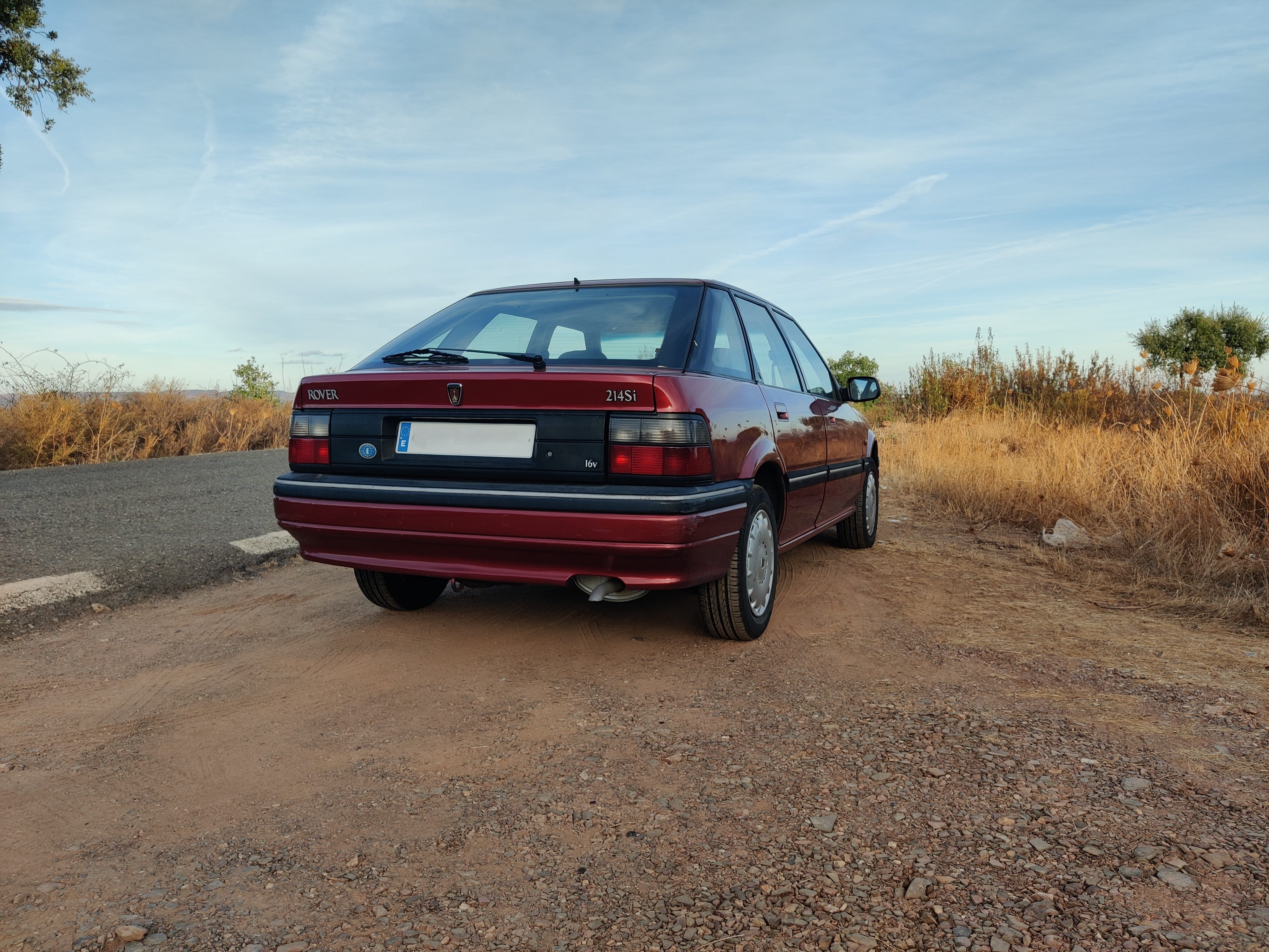 rover2 (1).jpg